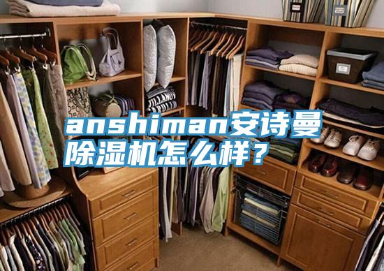 anshiman安詩曼除濕機怎么樣？