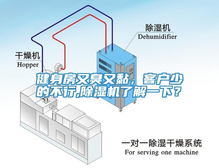 健身房又臭又黏，客戶少的不行,除濕機了解一下？