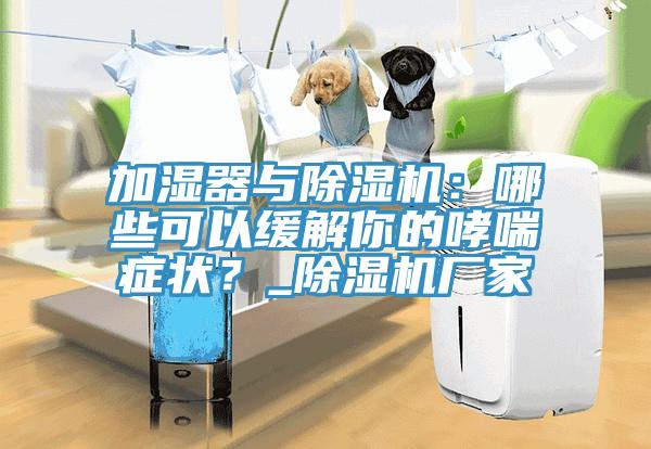 加濕器與除濕機：哪些可以緩解你的哮喘癥狀？_除濕機廠家