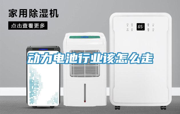 動力電池行業該怎么走