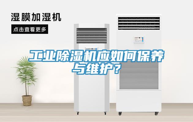 工業除濕機應如何保養與維護？