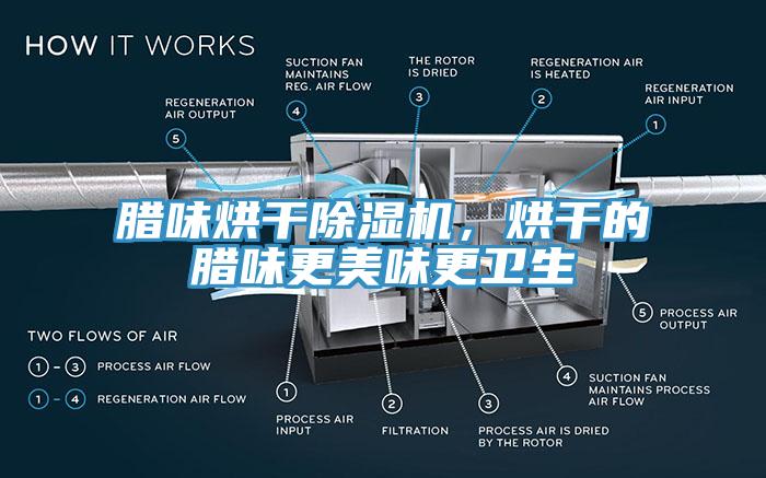 臘味烘干除濕機，烘干的臘味更美味更衛(wèi)生