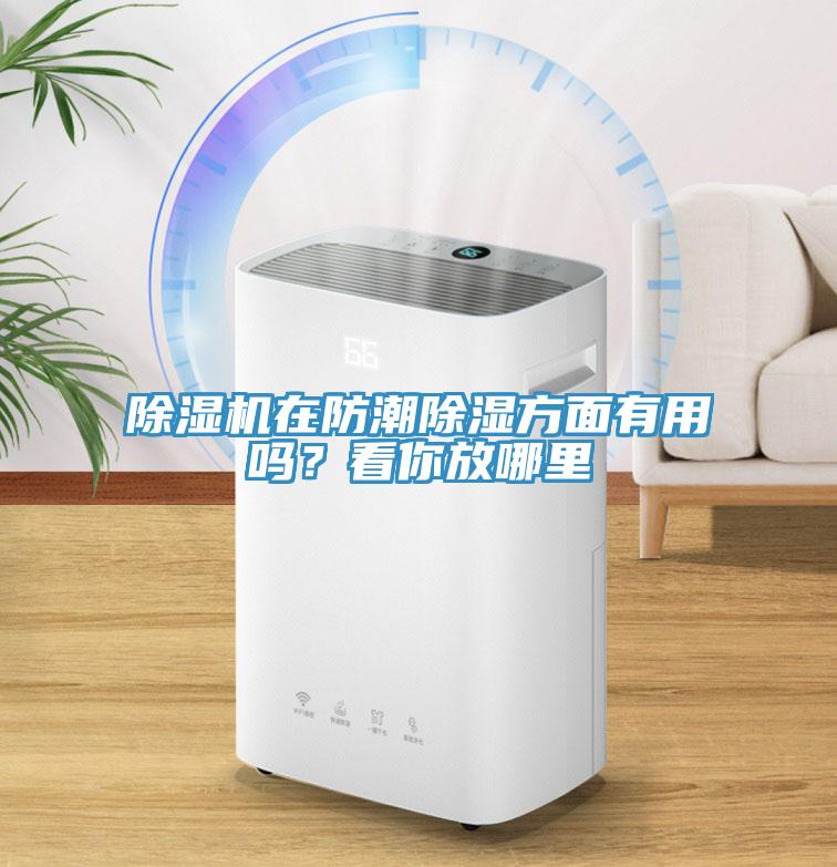 除濕機(jī)在防潮除濕方面有用嗎？看你放哪里