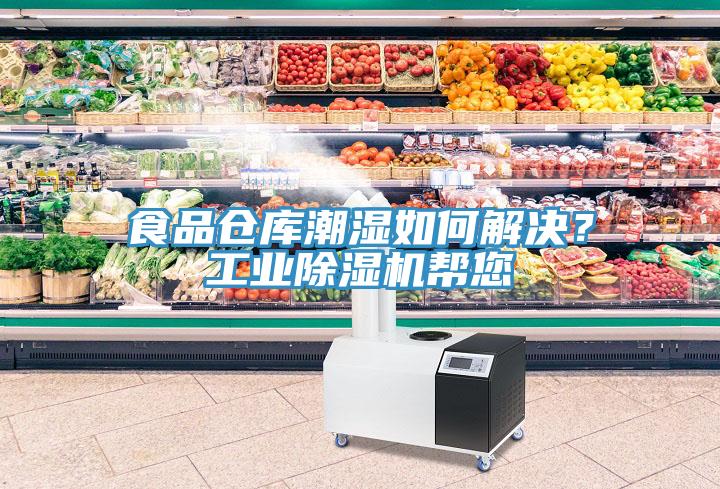 食品倉庫潮濕如何解決？工業除濕機幫您