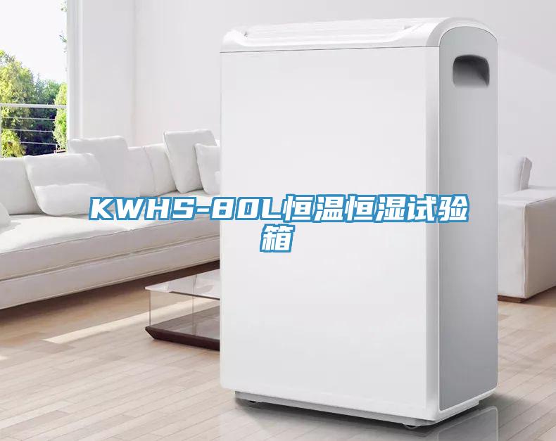 KWHS-80L恒溫恒濕試驗箱