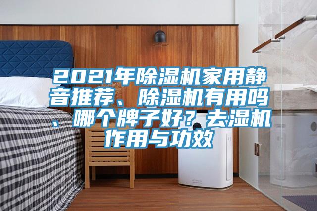 2021年除濕機家用靜音推薦、除濕機有用嗎、哪個牌子好？去濕機作用與功效