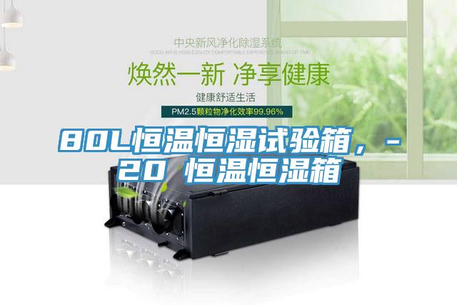 80L恒溫恒濕試驗(yàn)箱，-20℃恒溫恒濕箱