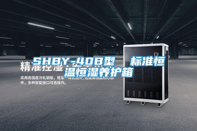 SHBY-40B型  標準恒溫恒濕養(yǎng)護箱