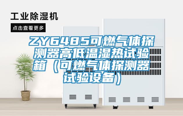 ZY6485可燃?xì)怏w探測(cè)器高低溫濕熱試驗(yàn)箱（可燃?xì)怏w探測(cè)器試驗(yàn)設(shè)備）