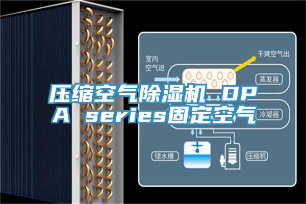 壓縮空氣除濕機(jī) DPA series固定空氣