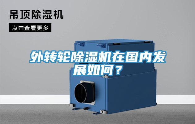 外轉輪除濕機在國內發展如何？