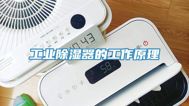 工業除濕器的工作原理