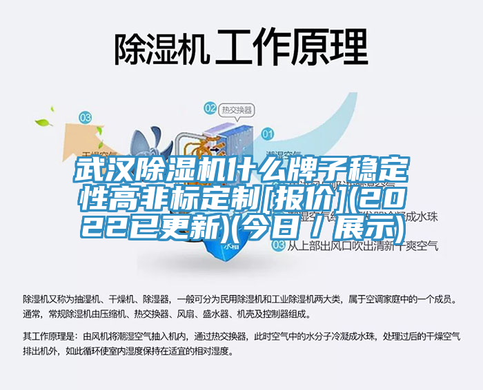 武漢除濕機什么牌子穩定性高非標定制[報價](2022已更新)(今日／展示)