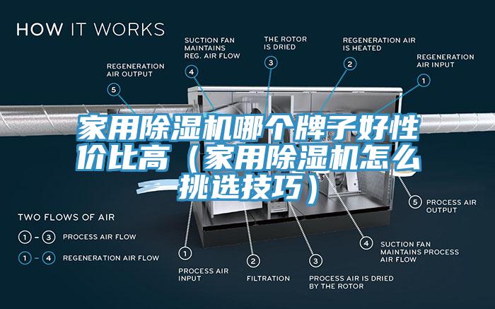 家用除濕機哪個牌子好性價比高（家用除濕機怎么挑選技巧）