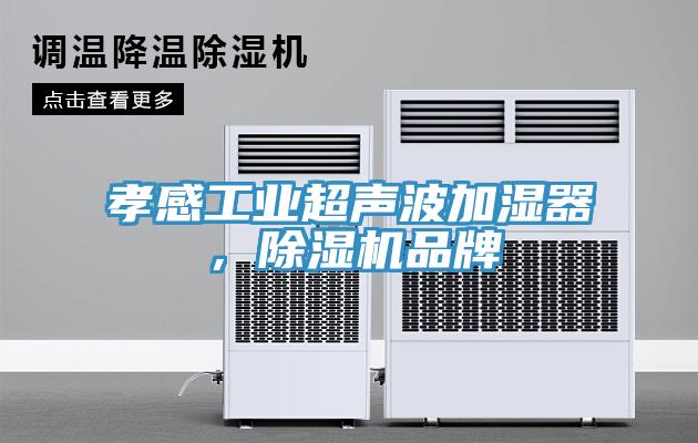 孝感工業超聲波加濕器，除濕機品牌