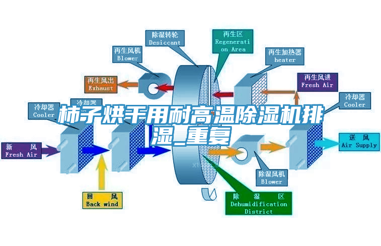 柿子烘干用耐高溫除濕機排濕_重復