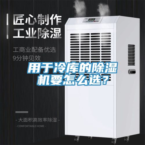 用于冷庫的除濕機要怎么選？