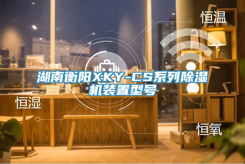 湖南衡陽XKY-CS系列除濕機裝置型號