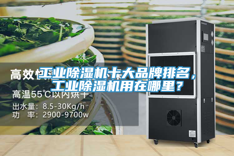 工業(yè)除濕機(jī)十大品牌排名，工業(yè)除濕機(jī)用在哪里？