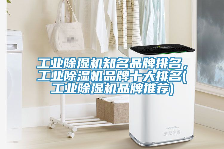 工業除濕機知名品牌排名，工業除濕機品牌十大排名(工業除濕機品牌推薦)