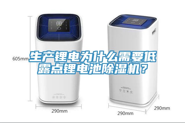 生產鋰電為什么需要低露點鋰電池除濕機？