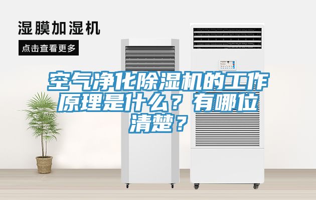 空氣凈化除濕機(jī)的工作原理是什么？有哪位清楚？