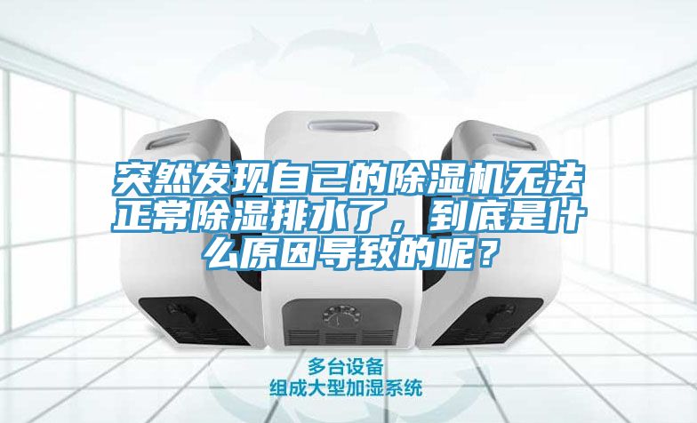 突然發現自己的除濕機無法正常除濕排水了，到底是什么原因導致的呢？