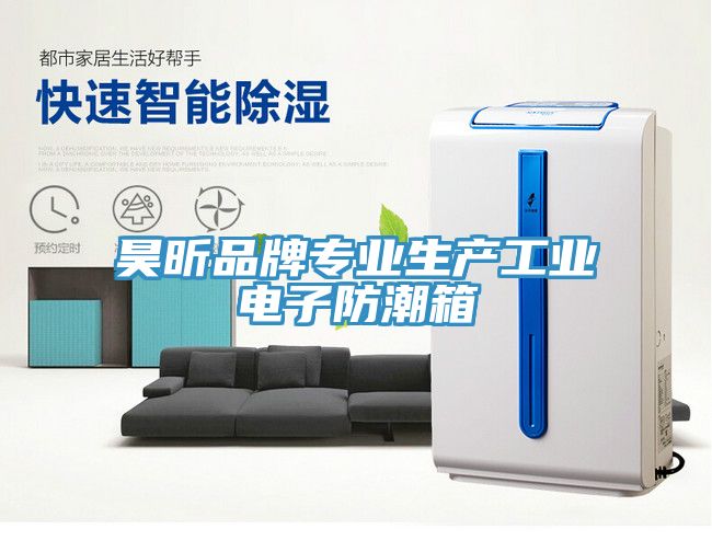 昊昕品牌專業生產工業電子防潮箱