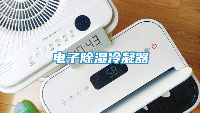 電子除濕冷凝器