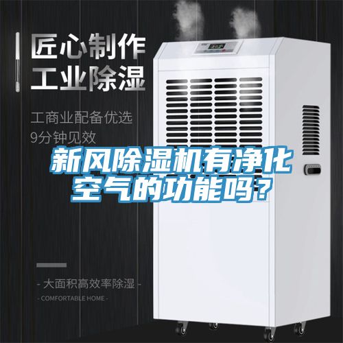 新風除濕機有凈化空氣的功能嗎？