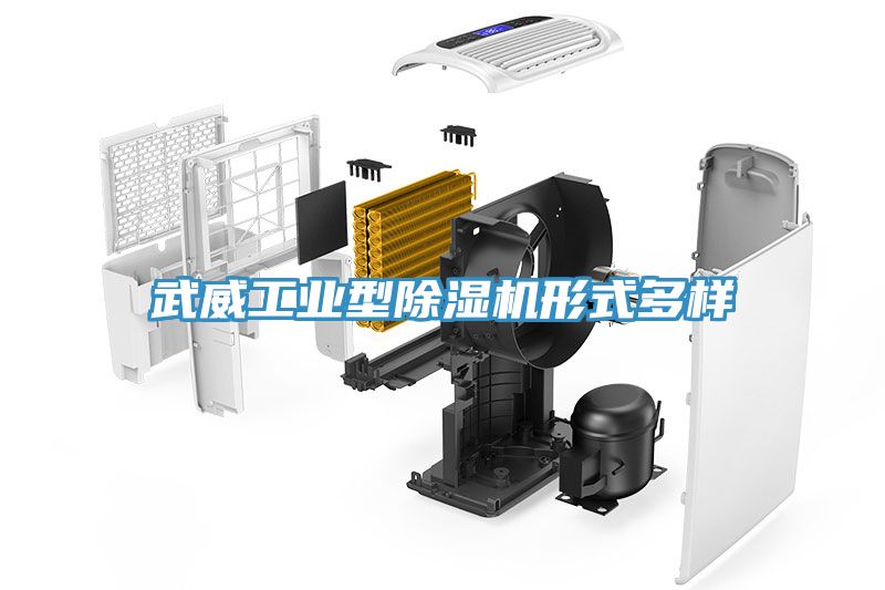 武威工業型除濕機形式多樣