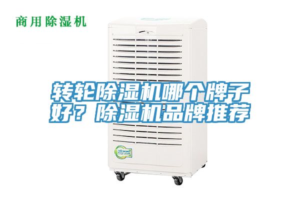 轉輪除濕機哪個牌子好？除濕機品牌推薦