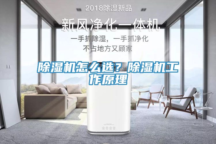 除濕機怎么選？除濕機工作原理