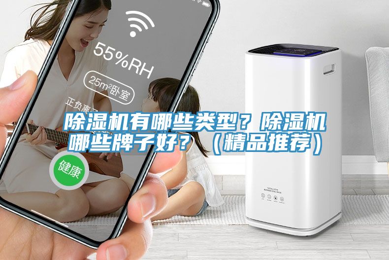 除濕機有哪些類型？除濕機哪些牌子好？（精品推薦）